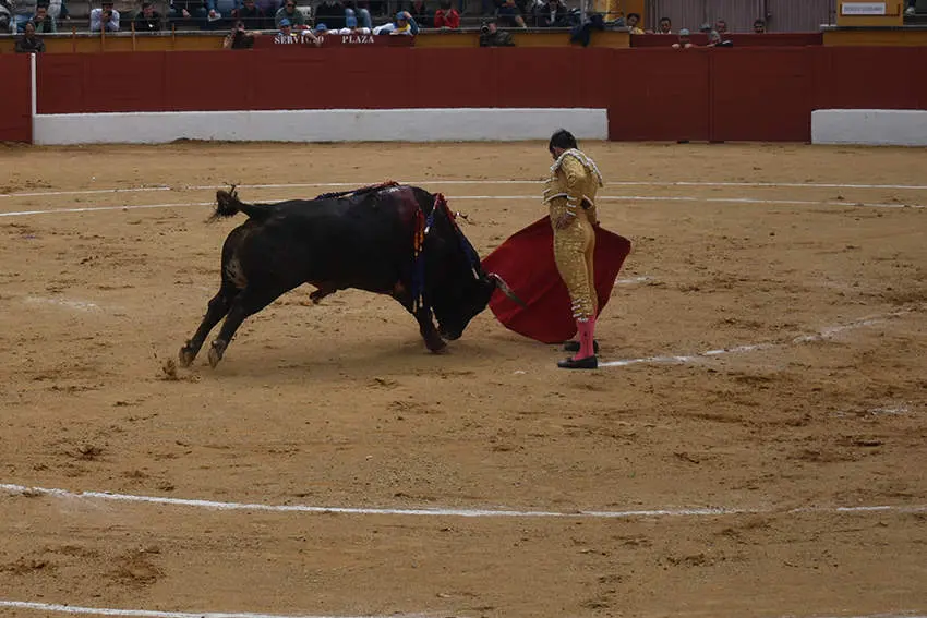 Feria 7