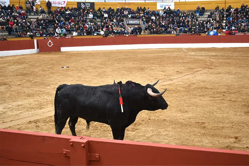 Feria del Aficionado 2