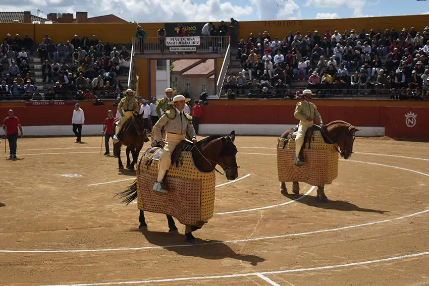 Feria 6