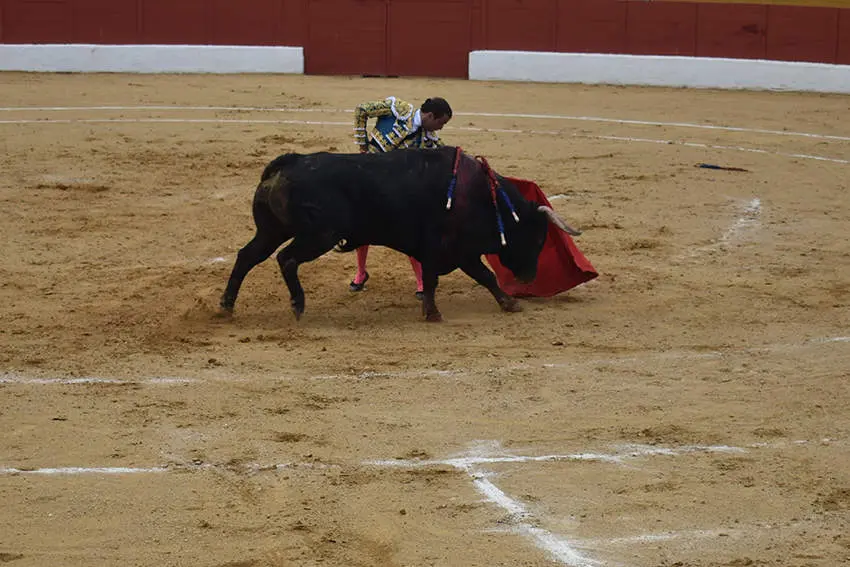 Feria 8