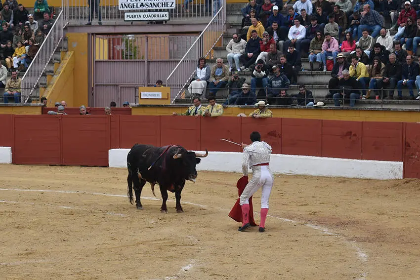Feria 10