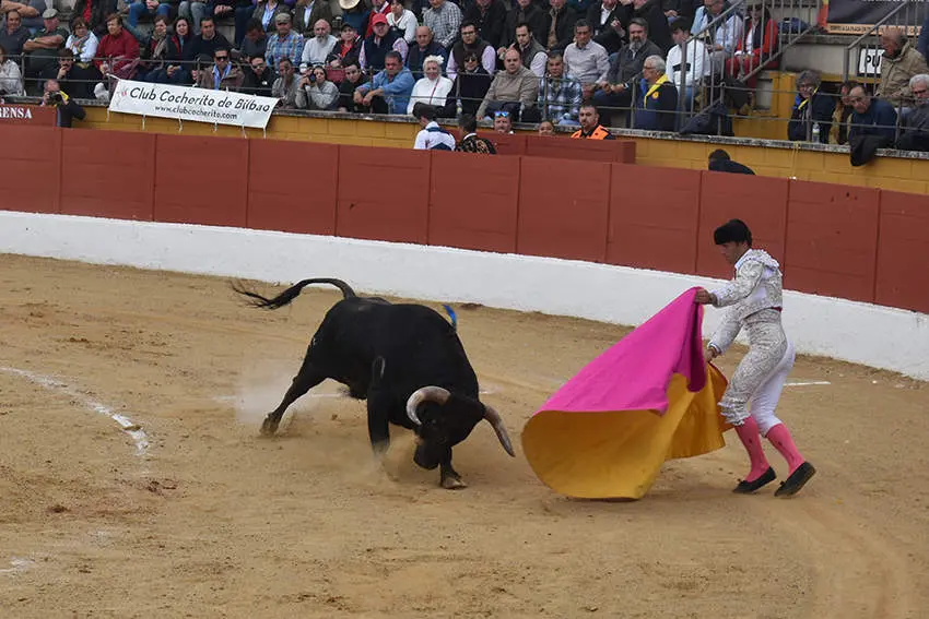 Feria 11