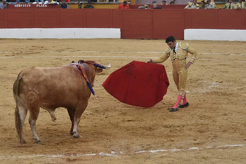 Feria 12