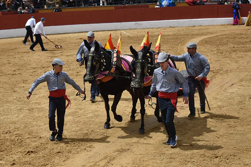 Feria del Aficionado 5