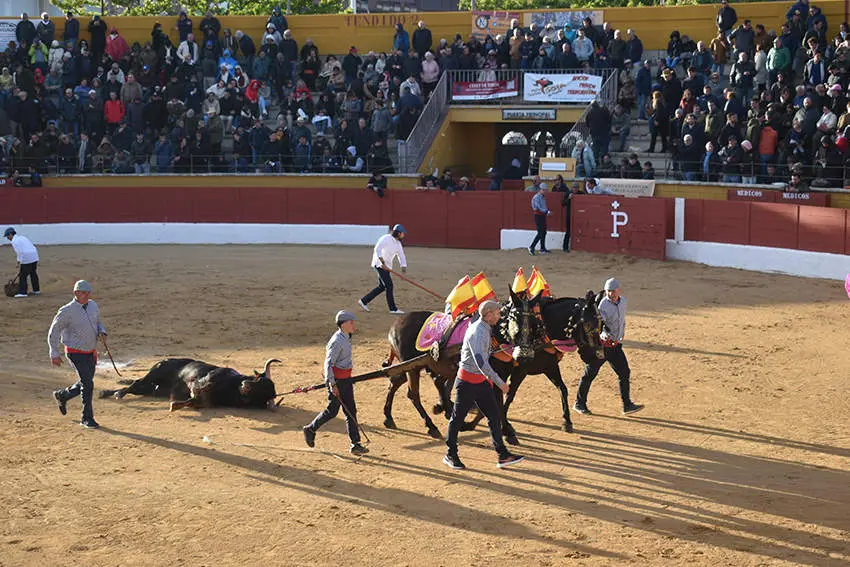 Feria del Aficionado 7
