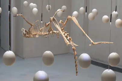 Zoofuturismo, la primera exposici&oacute;n en Espa&ntilde;a de Art Orient&eacute; Objet, llega a la Fundaci&oacute;n Cerezales Antonino y Cinia