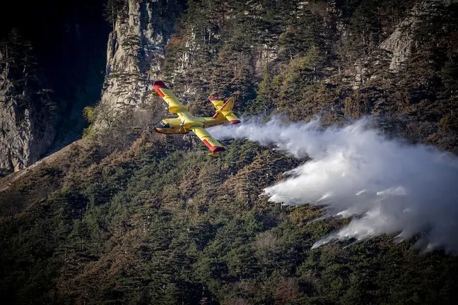 Incendio Forestal