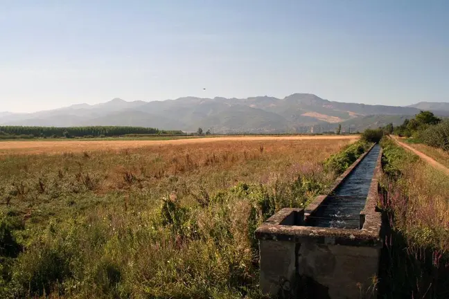 Regadios del Canal Bajo (fOTO aRCHIVO)