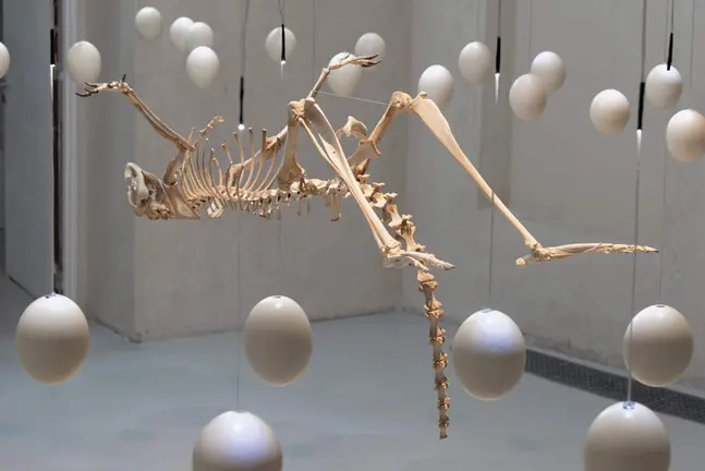 Zoofuturismo, la primera exposici&oacute;n en Espa&ntilde;a de Art Orient&eacute; Objet, llega a la Fundaci&oacute;n Cerezales Antonino y Cinia