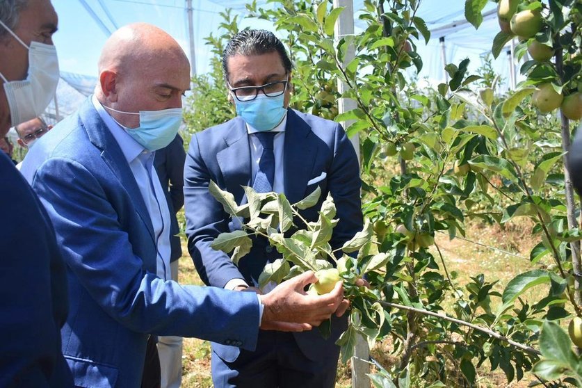 Uno de los proyectos de Granjas Camis es la plantación de 50 hectáreas manzano de mesa, con una inversión de 4 millones de euros.