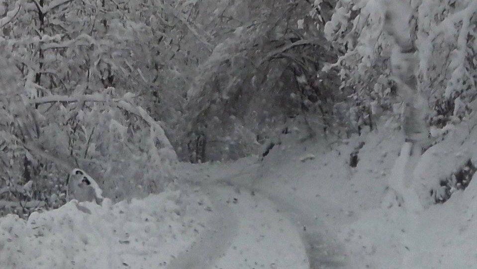 Carreteras de Oseja de Sajambre en nevadas pasadas