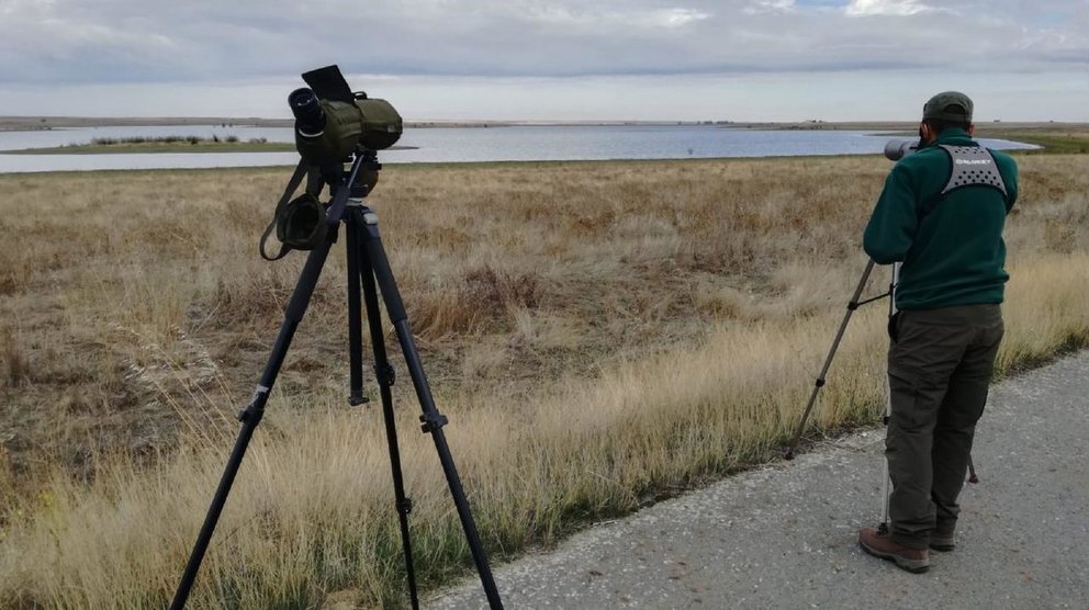Observación para el censo aves acuáticas en humedales de Castilla y León