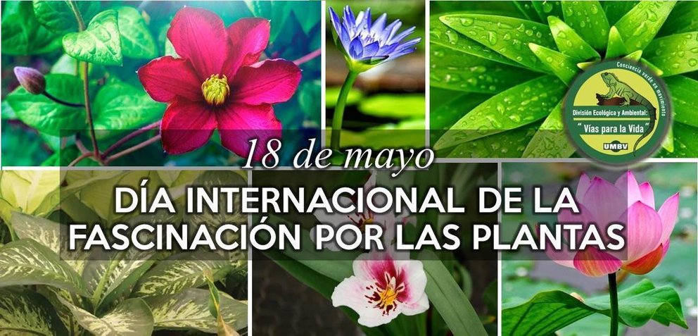 18 de mayo  Día Internacional de la Fascinación por las Plantas (FoPD 2022)