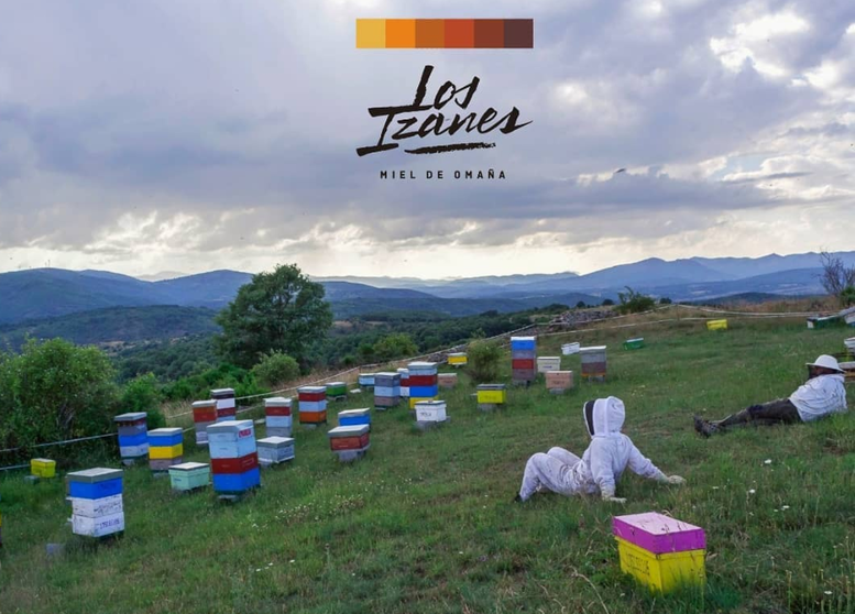 𝗟𝗼𝘀 𝗜𝘇𝗮𝗻𝗲𝘀. Miel, apicultura. (@losizanes)