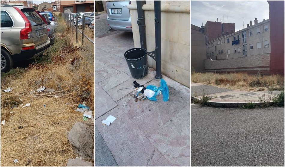 Suciedad y maleza en barrios de León (foto Ciudadanos)