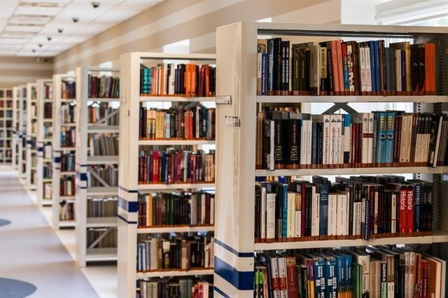 Libros en la biblioteca (foto de archivo)