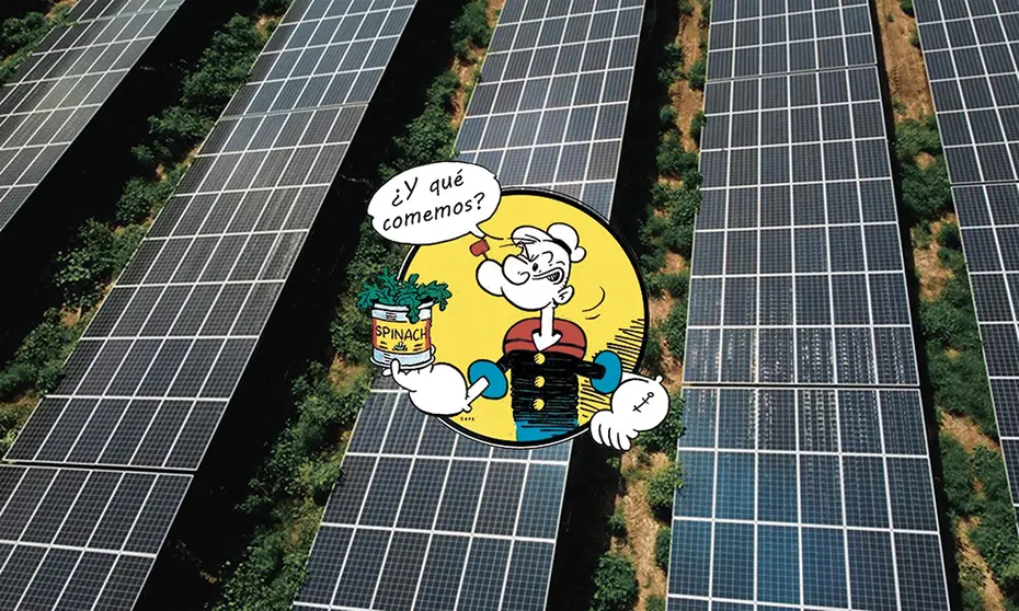 Placas fotovoltaicas