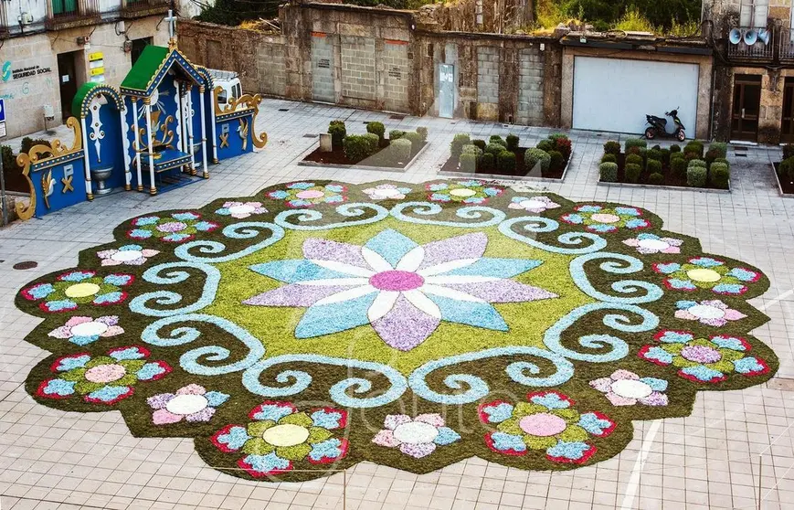 Alfombra de flores realizada por la Asociaci&oacute;n de Alfombristas Do Corpus Christi de Ponteareas,