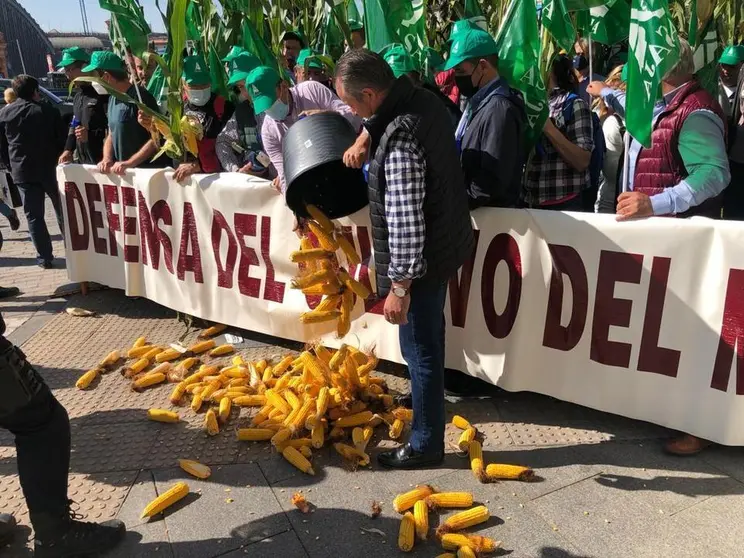 Uni&oacute;n del Pueblo Leon&eacute;s