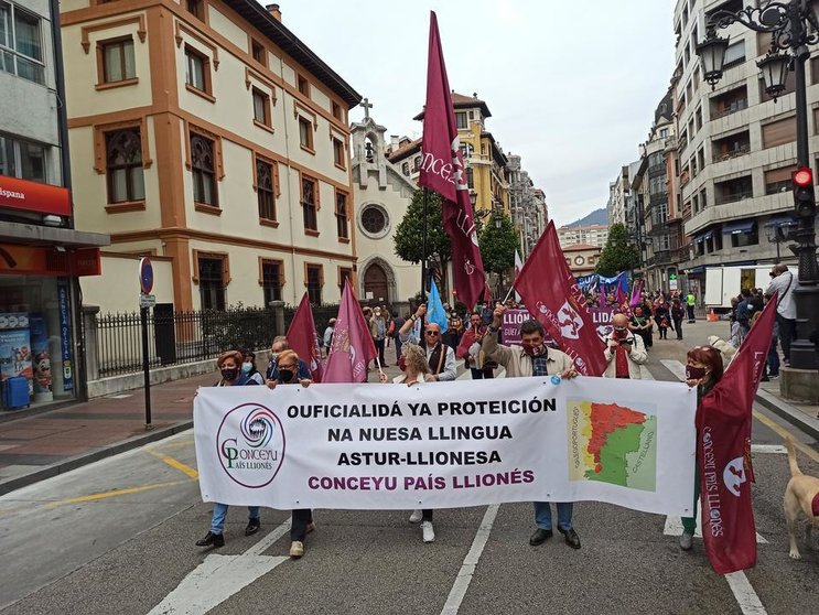 Conceyu País Lliones en la manifestación por la oficialidad del asturiano celebrada en Oviedo