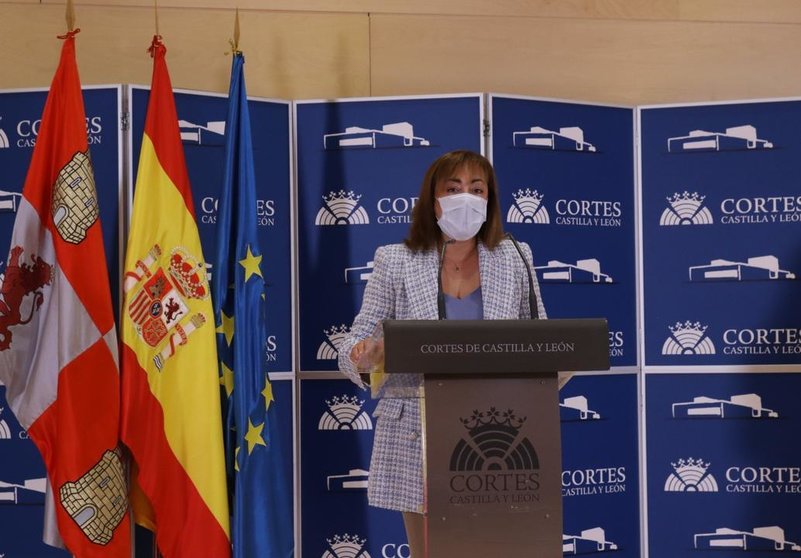 La procuradora de Ciudadanos, María Teresa Gago López
