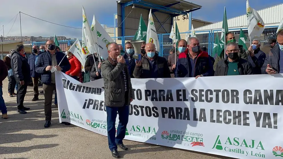 Ayuda al vacuno de leche de Castilla y Le&oacute;n,