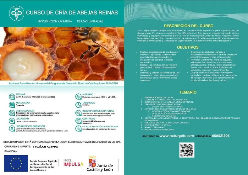 CURSO GRATUITO DE CRIA DE ABEJAS REINAS