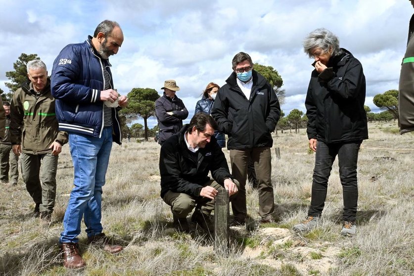 Suárez-Quiñones destaca en el Día Internacional de los Bosques que Castilla y León lleva 38 años repoblando, 13 veces más que la media europea