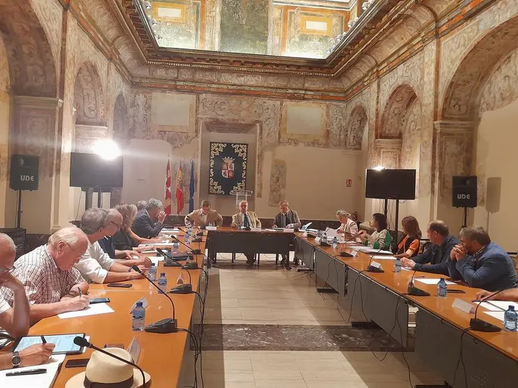 Comisi&oacute;n de los Caminos a Santiago Castilla y Le&oacute;n