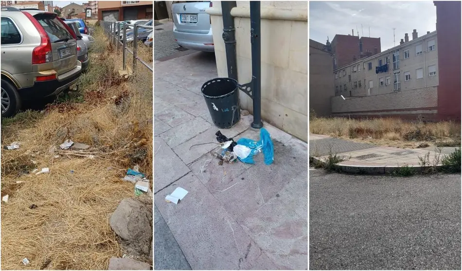Suciedad y maleza en barrios de Le&oacute;n (foto Ciudadanos)