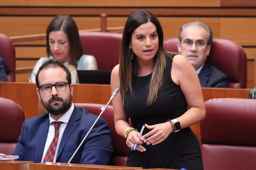 La portavoz socialista Nuria Rubio durante una intervenci&oacute;n en las Cortes de CyL (foto de archivo)