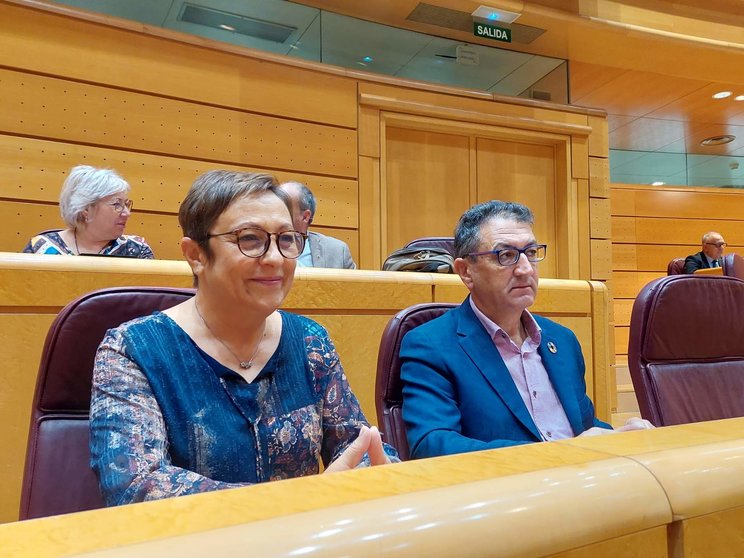 Los senadores socialistas por León, Salvador Vidal y Carmen Morán