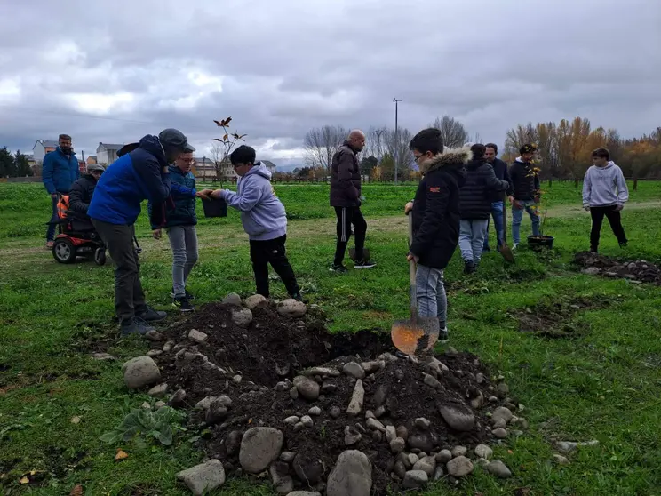Plantaci&oacute;n de &aacute;rboles para celebrar el XXV aniversario de AMBI