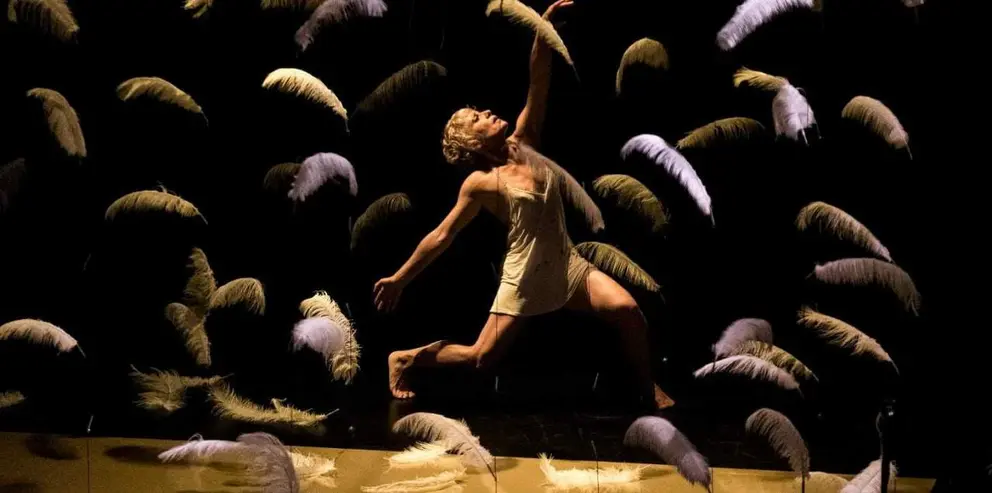 El Auditorio Ciudad  de Le&oacute;n acoge este viernes el espect&aacute;culo &lsquo;Malditas plumas&rsquo;