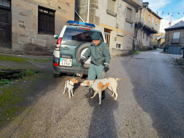 La Guardia Civil recupera los perros abandonados