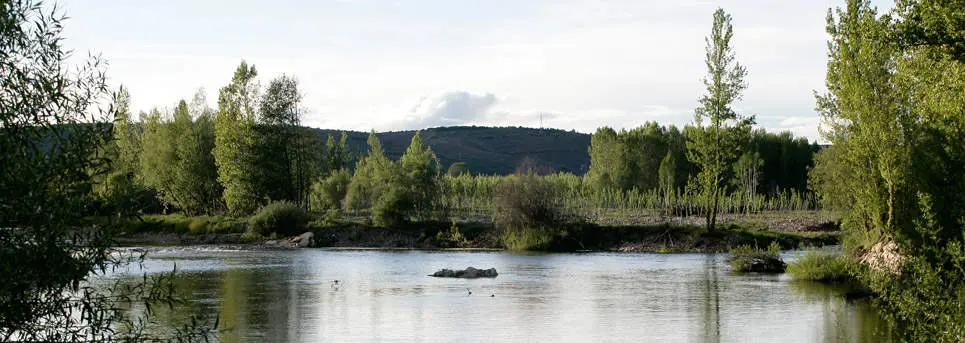 R&iacute;o &Oacute;rbigo a su paso por Secarejo