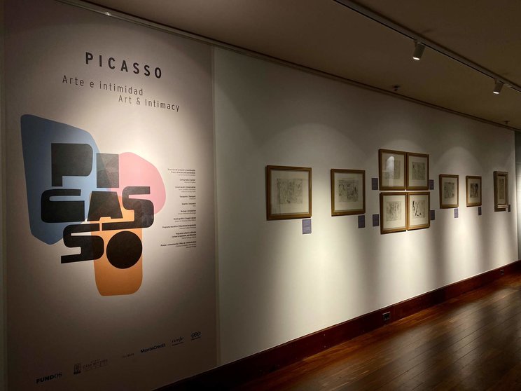 Picasso. Arte e intimidad