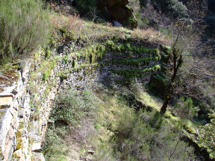 Canales romanos de La Cabrera
