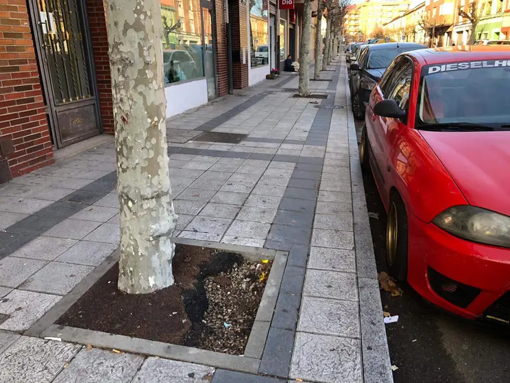 Deterioro de alcorques en Le&oacute;n (foto Ciudadanos)