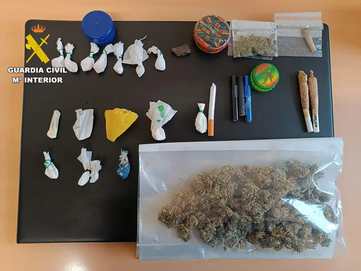 Droga decomisada en Carrizo de la Ribera