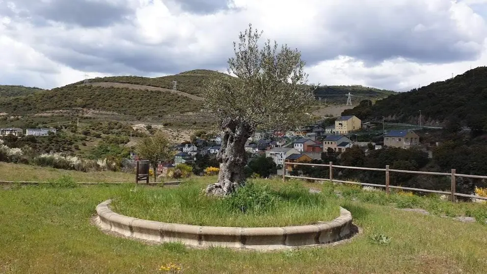 Mirador Torre del Bierzo