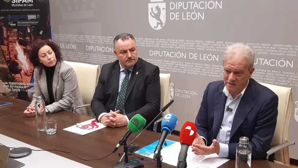 Curso Campo Vidal