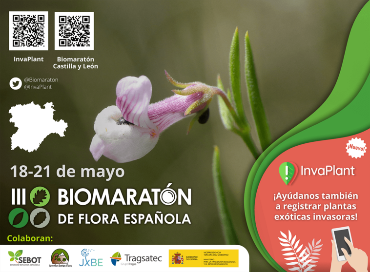 III Biomarat&oacute;n de Flora Espa&ntilde;ola