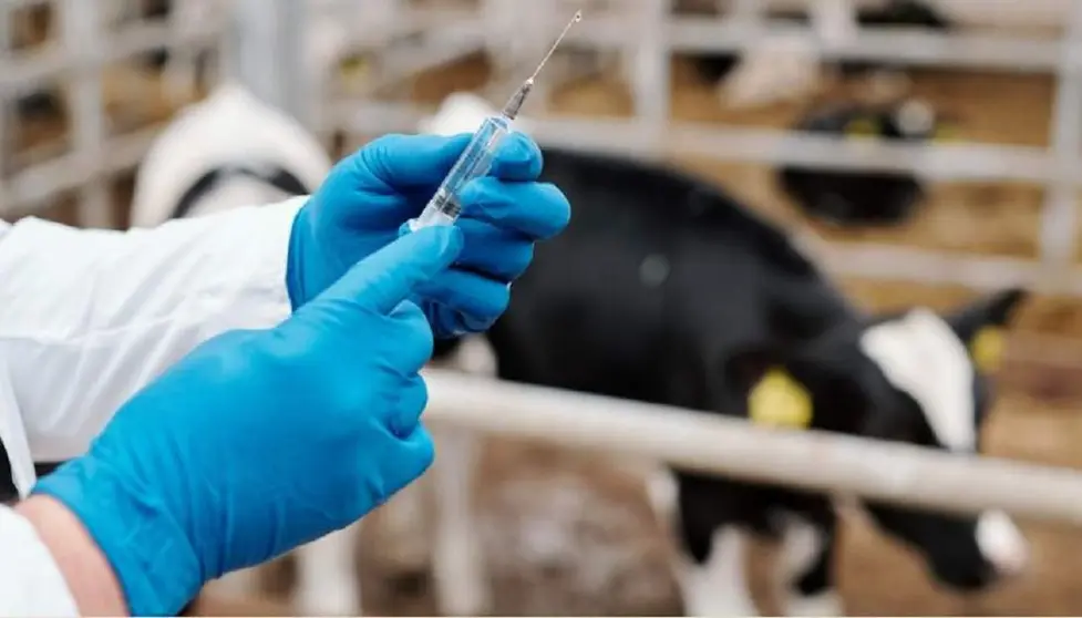 Inmunolog&iacute;a aplicada a la producci&oacute;n