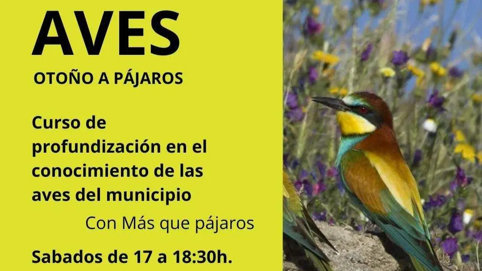 AVES. Oto&ntilde;o a p&aacute;jaros que tenemos este s&aacute;bado 25 de noviembre, en el Mihacale de Gordoncillo