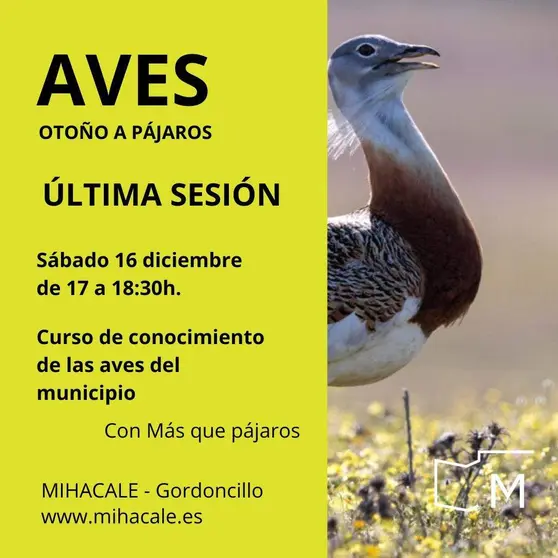 AVES. OTO&Ntilde;O A PAJAROS ULTIMA SESION