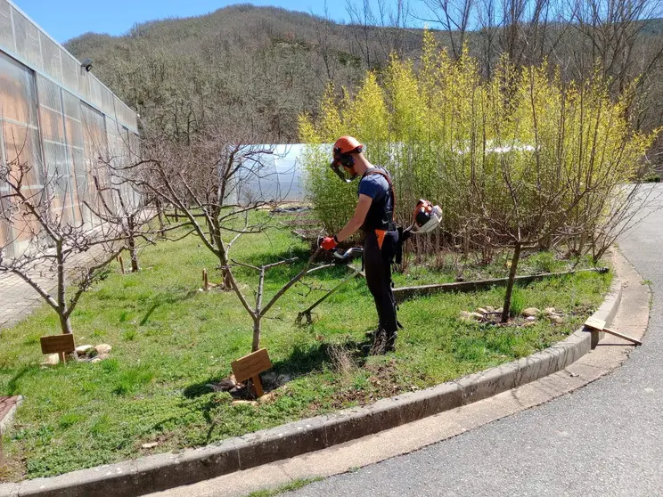 Formaci&oacute;n y empleo especializada en fruticultura para j&oacute;venes, impulsada por CIUDEN Vivero.