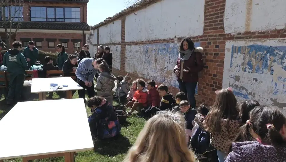Proyecto Colegio Sierra Pambley