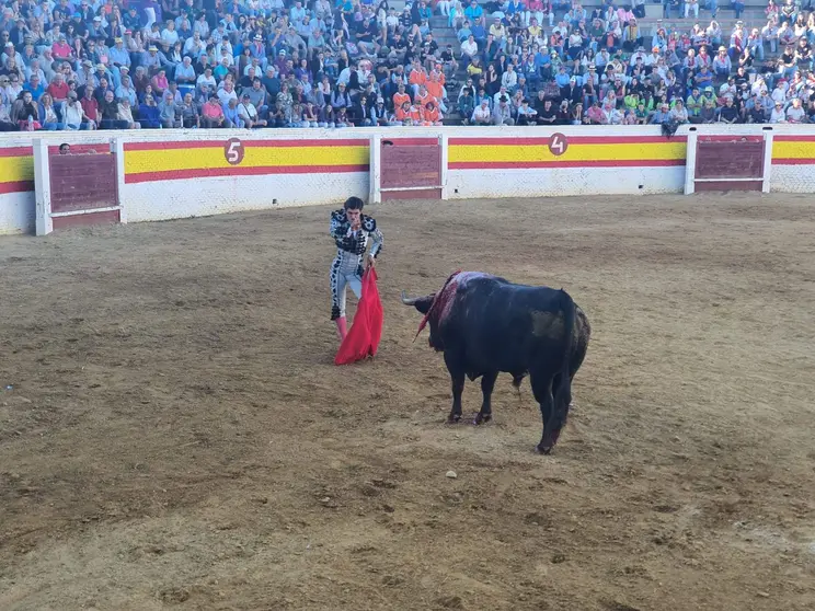 Francisco de Manuel entrando a matar. Feria de Sahag&uacute;n