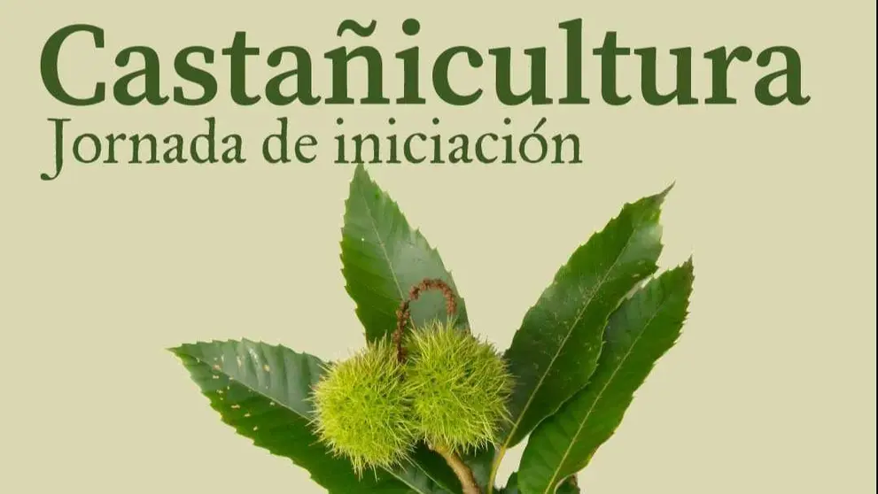 Jornada Casta&ntilde;icultura en Sta Cruz